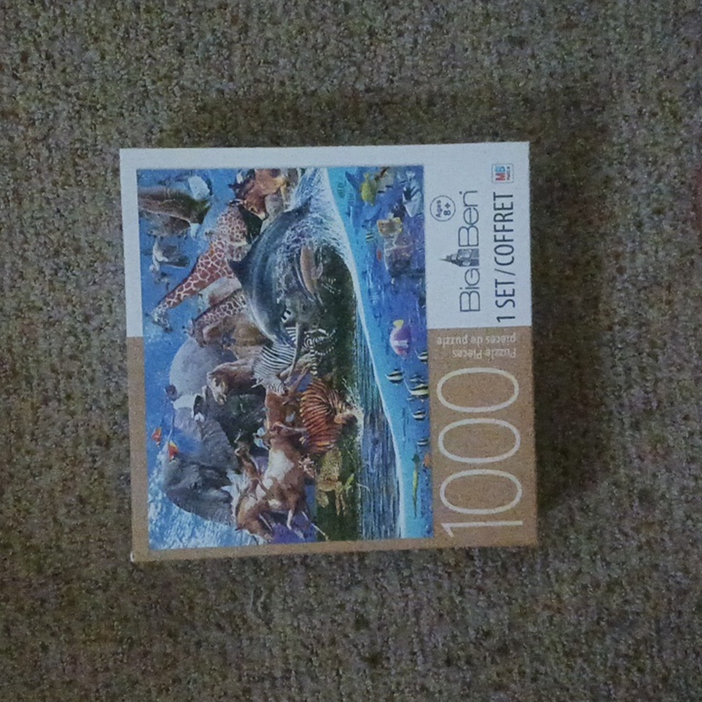 1000 Peice Puzzle